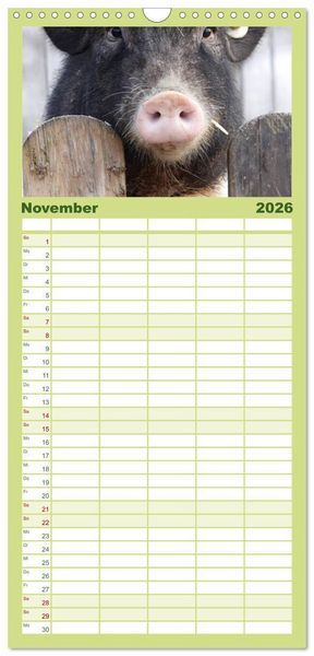 Produktbild: Familienplaner 2026 - Schwein gehabt! mit 5 Spalten (Wandkalender, 21 x 45 cm) CALVENDO