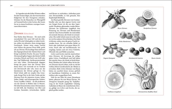 Produktbild: The Art of Simple Food (X)