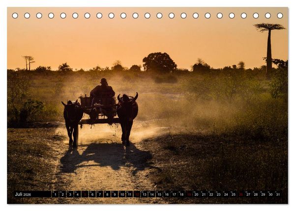Produktbild: Madagaskar - Impressionen von Rolf Dietz (Tischkalender 2026 DIN A5 quer), CALVENDO Monatskalender