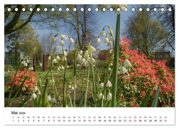 Produktbild: Buxtehude - Eine Perle in Niedersachsen (Tischkalender 2026 DIN A5 quer), CALVENDO Monatskalender