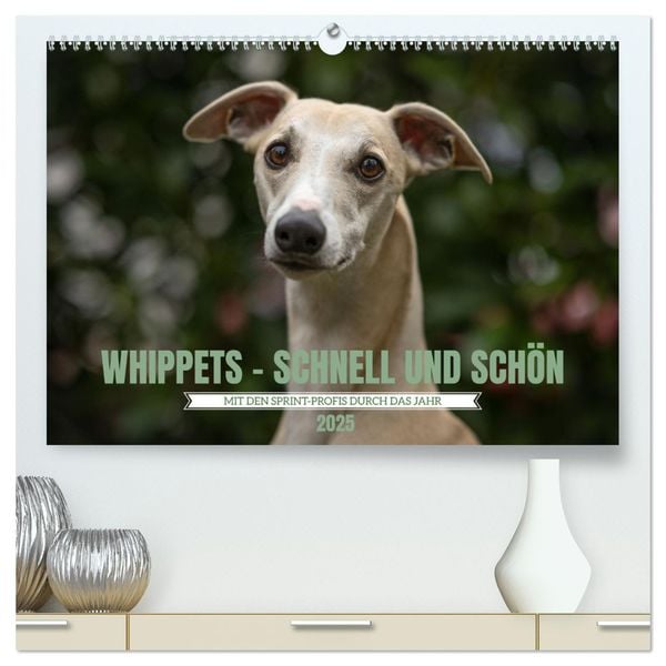 WHIPPETS - SCHNELL UND SCHÖN (hochwertiger Premium Wandkalender 2025 DIN A2 quer), Kunstdruck in Hochglanz