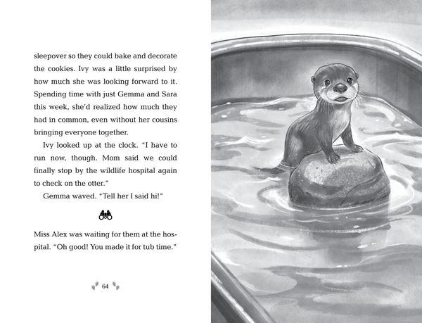 Produktbild: How to Save an Otter