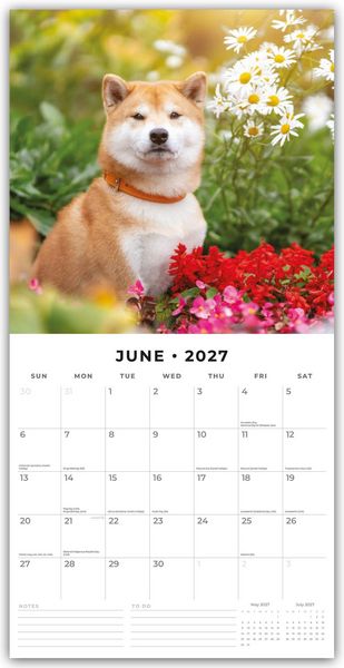 Produktbild: Shiba Inu 2027 &ndash; 16-Monatskalender