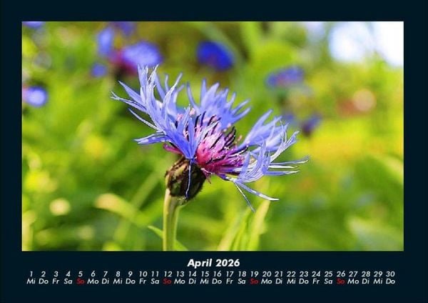 Produktbild: Bilder aus der Natur 2026 Fotokalender DIN A4
