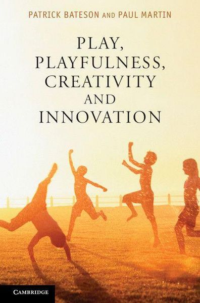 Produktbild: Play, Playfulness, Creativity and Innovation