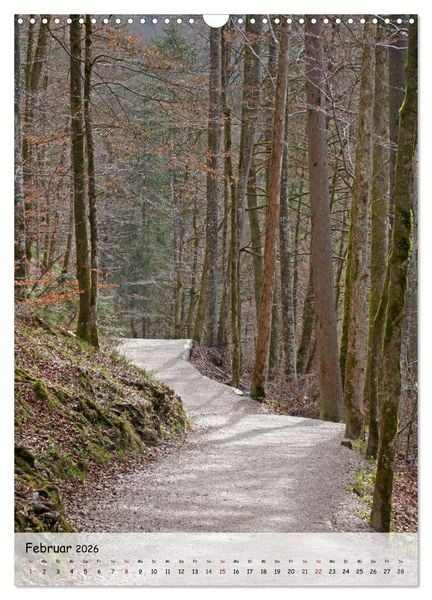 Produktbild: Wege als Traumpfade (Wandkalender 2026 DIN A3 hoch), CALVENDO Monatskalender