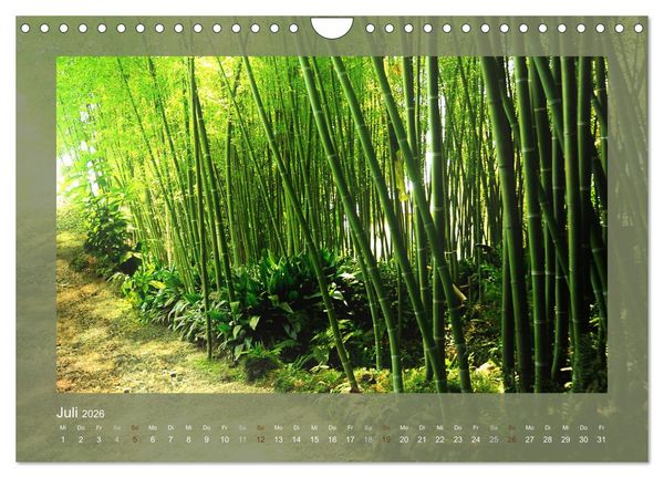 Produktbild: Bambus (Wandkalender 2026 DIN A4 quer), CALVENDO Monatskalender