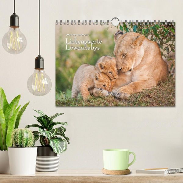 Produktbild: Emotionale Momente: Liebenswerte L&ouml;wenbabys / CH-Version (Wandkalender 2027 DIN A4 quer), CALVENDO Monatskalender