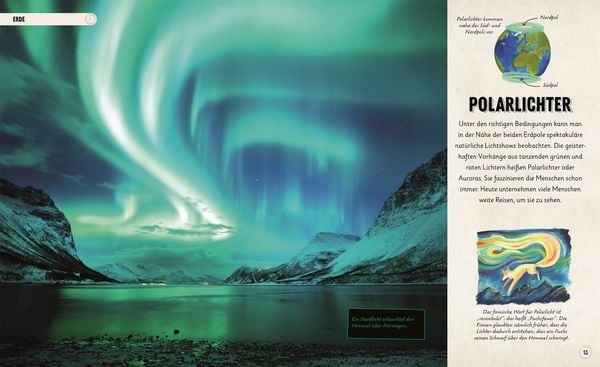Produktbild: Erstaunliches Universum