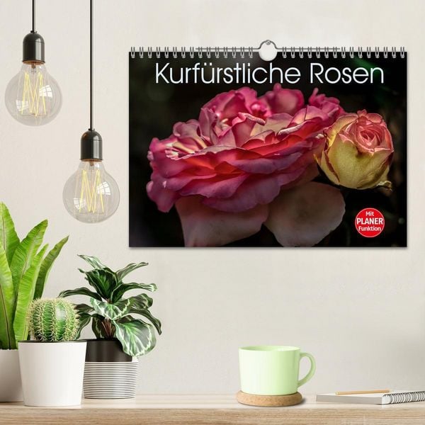 Produktbild: Kurf&uuml;rstliche Rosen Eltville am Rhein (Wandkalender 2026 DIN A4 quer), CALVENDO Monatskalender