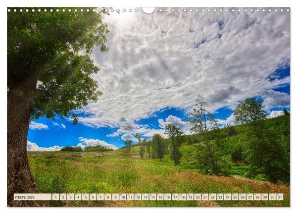 Produktbild: L'Allemagne, tes paysages (Calendrier mural 2026 DIN A3 vertical), CALVENDO calendrier mensuel