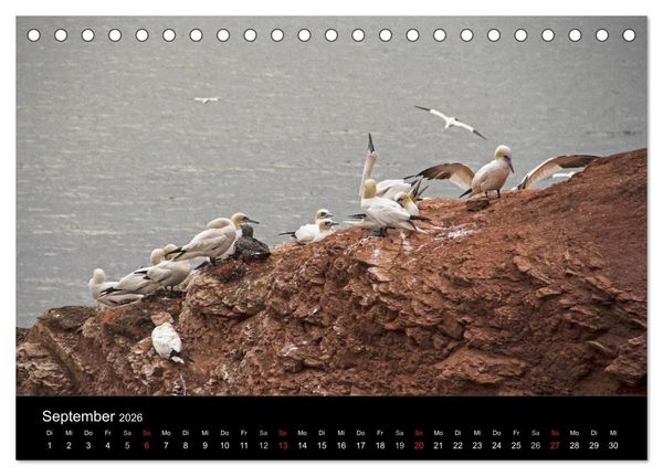 Produktbild: Helgoland - idyllische Nordseeinsel (Tischkalender 2026 DIN A5 quer), CALVENDO Monatskalender