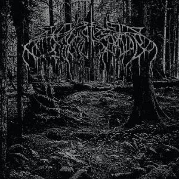 Produktbild: 2005 Demo