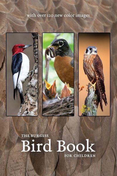 Produktbild: The Burgess Bird Book with new color images