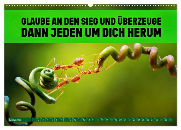 Produktbild: Gemeinsam sind wir stark - motivierende Spr&uuml;che &uuml;ber Teams (hochwertiger Premium Wandkalender 2026 DIN A2 quer), Kunstdruck in Hochglanz