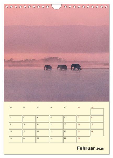 Produktbild: ELEFANTEN - Asiens graue Riesen (Wandkalender 2026 DIN A4 hoch), CALVENDO Monatskalender