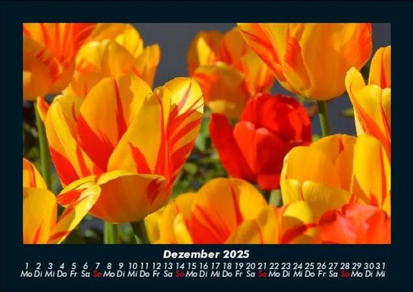 Produktbild: Blumentr&auml;ume 2025 Fotokalender DIN A5