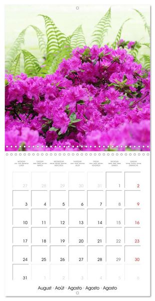 Produktbild: Arbres et arbustes la floraison (Calendrier mural carr&eacute; 2026 30x30 cm) Calendrier double avec une page pour vos prises de notes