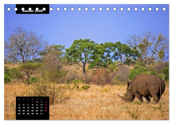Produktbild: Blickpunkte des S&uuml;dlichen Afrika (Tischkalender 2026 DIN A5 quer), CALVENDO Monatskalender