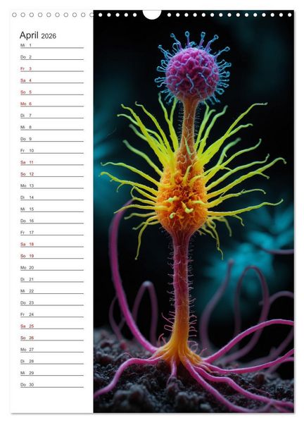 Produktbild: Leuchtende Mikroflora (Wandkalender 2026 DIN A3 hoch), CALVENDO Monatskalender