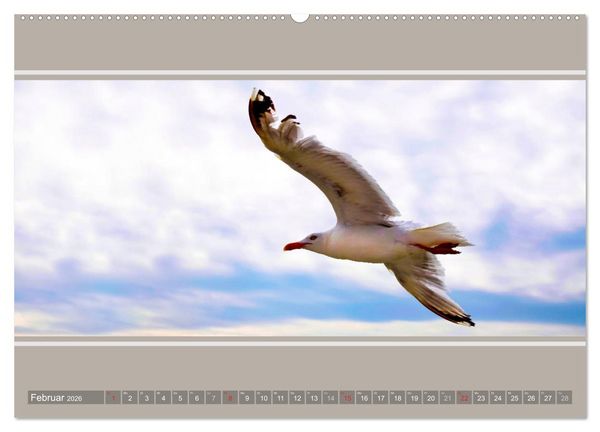 Produktbild: Strandblicke Borkum und Norderney (hochwertiger Premium Wandkalender 2026 DIN A2 quer), Kunstdruck in Hochglanz