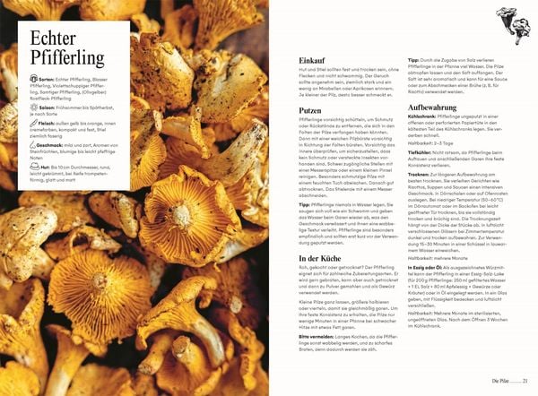 Produktbild: Pilze. Das Kochbuch