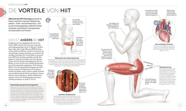 Produktbild: HIIT - Die Anatomie verstehen
