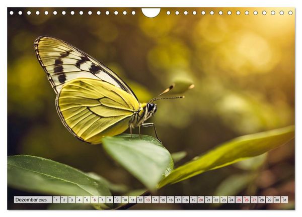 Produktbild: Filigrane Insekten (Wandkalender 2026 DIN A4 quer), CALVENDO Monatskalender