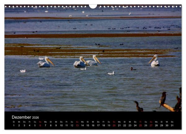 Produktbild: Donaudelta (Wandkalender 2026 DIN A3 quer), CALVENDO Monatskalender