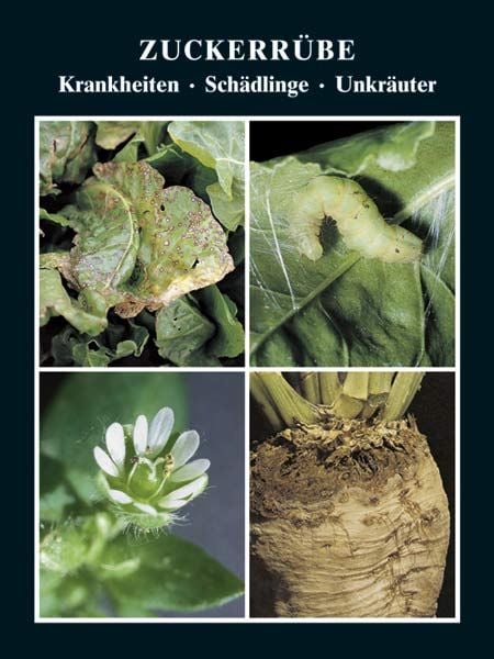 Zuckerrübe Krankheiten - Schädlinge - Unkräuter, Paperback von Fritz Brendler,Bernd Holtschulte,Walter Rieckmann, Agroconcept, 978-3-9810575-4-6