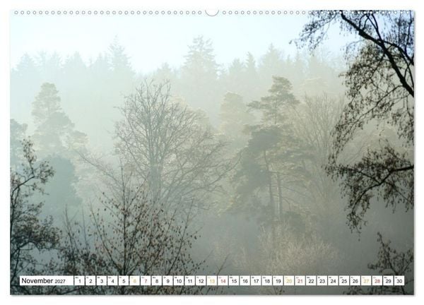 Produktbild: 12 Monate Natur (Wandkalender 2027 DIN A2 quer), CALVENDO Monatskalender