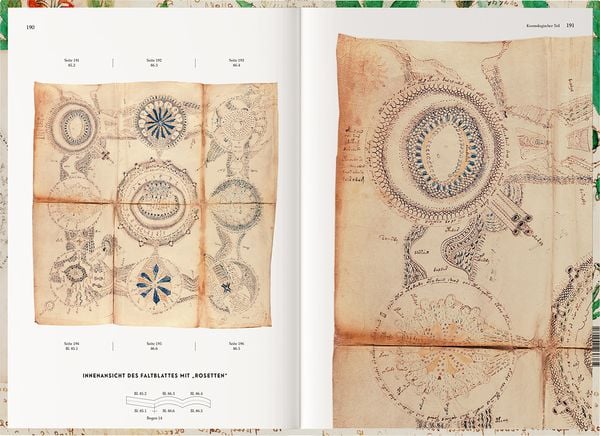 Produktbild: Das Voynich-Manuskript. The Voynich Manuscript. The Complete Edition