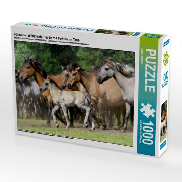 CALVENDO Puzzle Dülmener Wildpferde Herde mit Fohlen im Trab | 1000 Teile Lege-Größe 64x48cm Foto-Puzzle für glückliche Stunden