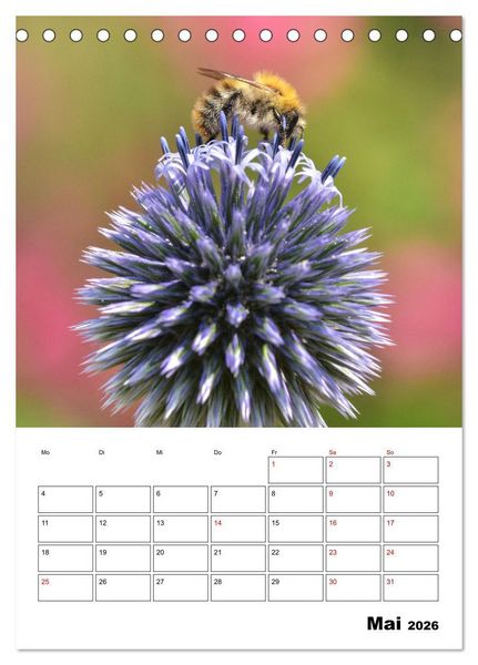 Produktbild: Hummeln und Bienen Terminplaner (Tischkalender 2026 DIN A5 hoch), CALVENDO Monatskalender