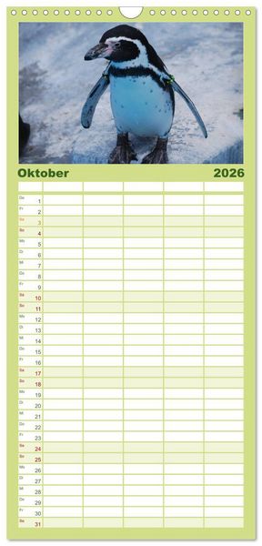 Produktbild: Familienplaner 2026 - Pinguine 2026 mit 5 Spalten (Wandkalender, 21 x 45 cm) CALVENDO
