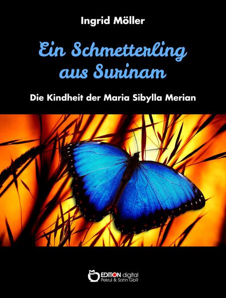 Produktbild: Ein Schmetterling aus Surinam