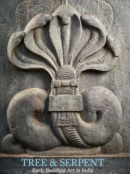 Produktbild: Tree & Serpent - Early Buddhist Art in India