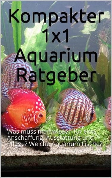 Produktbild: Kompakter 1x1 Aquarium Ratgeber