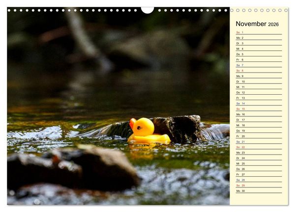 Produktbild: Enten-Rennen (Wandkalender 2026 DIN A3 quer), CALVENDO Monatskalender