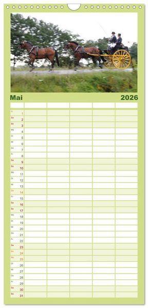 Produktbild: Familienplaner 2026 - CIAT - Historischer Fahrsport in Celle mit 5 Spalten (Wandkalender, 21 x 45 cm) CALVENDO