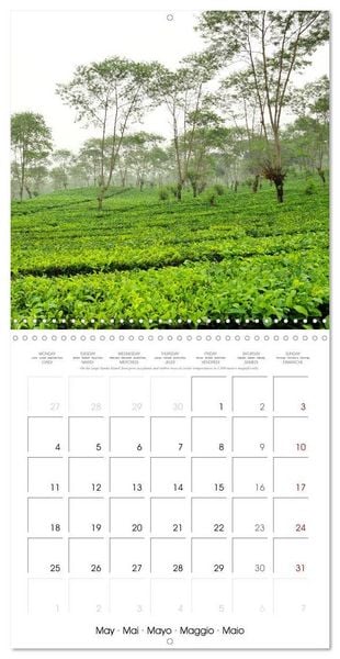 Produktbild: Travel around Java (Wall Calendar 2026 12 &times; 12 Inch) CALVENDO 12 Month Wall Calendar