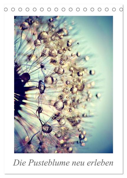 Produktbild: Die Pusteblume neu erleben (Tischkalender 2027 DIN A5 hoch), CALVENDO Monatskalender