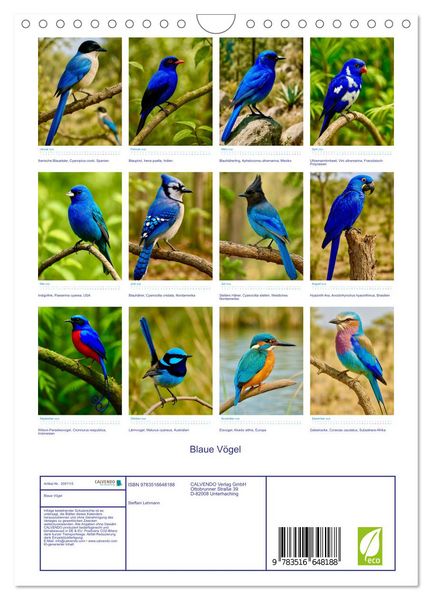 Produktbild: Blaue V&ouml;gel (Wandkalender 2026 DIN A4 hoch), CALVENDO Monatskalender