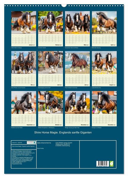Produktbild: Shire Horse Magie. Englands sanfte Giganten (Wandkalender 2027 DIN A2 hoch), CALVENDO Monatskalender