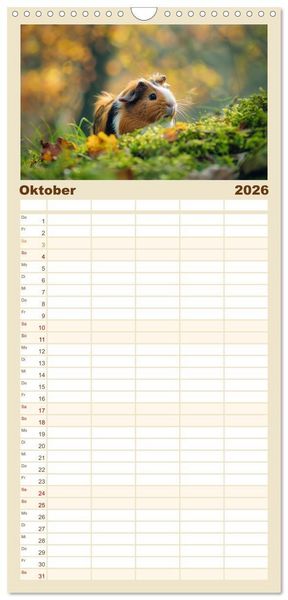 Produktbild: Familienplaner 2026 - Wuschelbande - Ein Jahr voller Meerschweinchen mit 5 Spalten (Wandkalender, 21 x 45 cm) CALVENDO