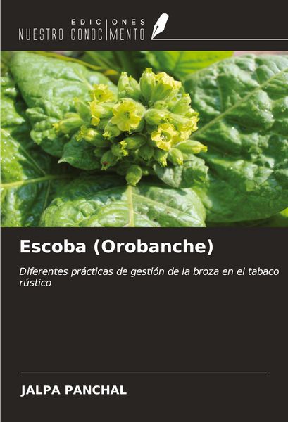 Produktbild: Escoba (Orobanche)