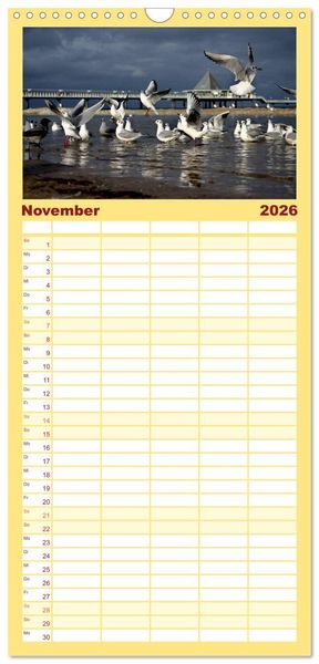 Produktbild: Familienplaner 2026 - Usedom 2026 Rendezvous zwischen Ahlbeck und Heringsdorf mit 5 Spalten (Wandkalender, 21 x 45 cm) CALVENDO