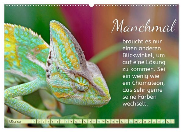 Produktbild: Der Spruchkalender - Inspirationen (hochwertiger Premium Wandkalender 2026 DIN A2 quer), Kunstdruck in Hochglanz