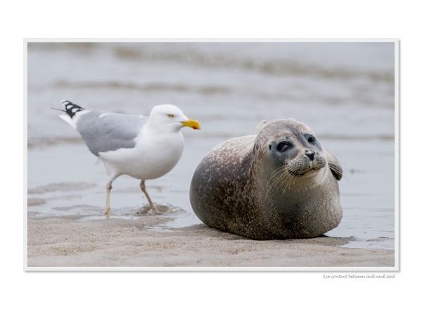 Produktbild: CALVENDO Puzzle Ein Motiv aus dem Kalender Emotional Moments: Heligoland - Insel in der Nordsee. / UK-Version | 1000 Teile Lege-Gr&ouml;&szlig;e 64x48cm Foto-Puzzle f&uuml;r gl&uuml;ckliche Stunden