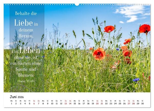 Produktbild: Lebensweisheiten, motivierende Spr&uuml;che und kluge Zitate mit Bildern der Natur (hochwertiger Premium Wandkalender 2026 DIN A2 quer), Kunstdruck in Hochglanz